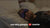 Manta PRO Sleep Mask - Media 21 of 85
